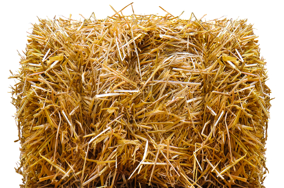 Straw, Straw Bales, Png, Isolated, Agriculture, Harvest - Harvest, Transparent background PNG HD thumbnail