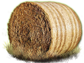Hay Round Bale - texture High