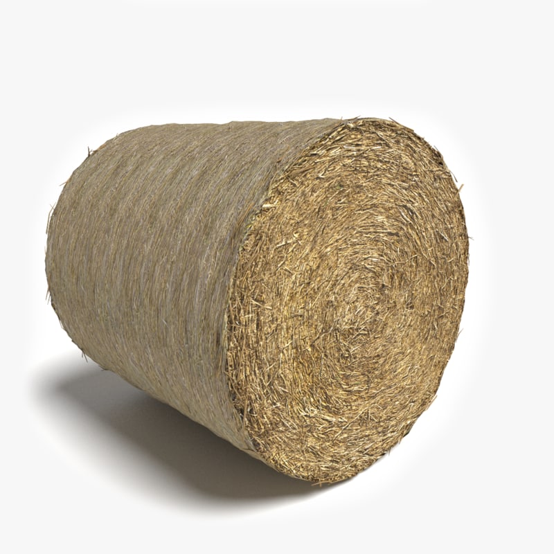 3D Model Bale Hay - Hay, Transparent background PNG HD thumbnail