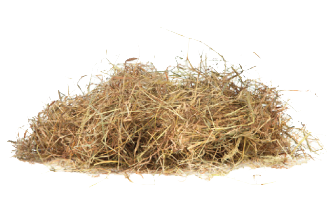 In Recent Years With The Increased Incidence Of Metabolic Disorders Such As Laminitis And Insulin Resistance The Carbohydrate Content Of Hay Has Come Hdpng.com  - Hay, Transparent background PNG HD thumbnail