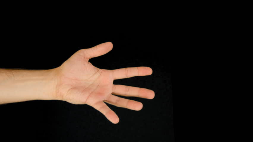 Hand Gestures   Counting On A Man Hand From 1 To 5. Quicktime Png  Alpha Channel. Green Screen. Stock Footage Video 9108878 | Shutterstock - Arm, Transparent background PNG HD thumbnail