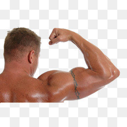 Fitness PNG HD