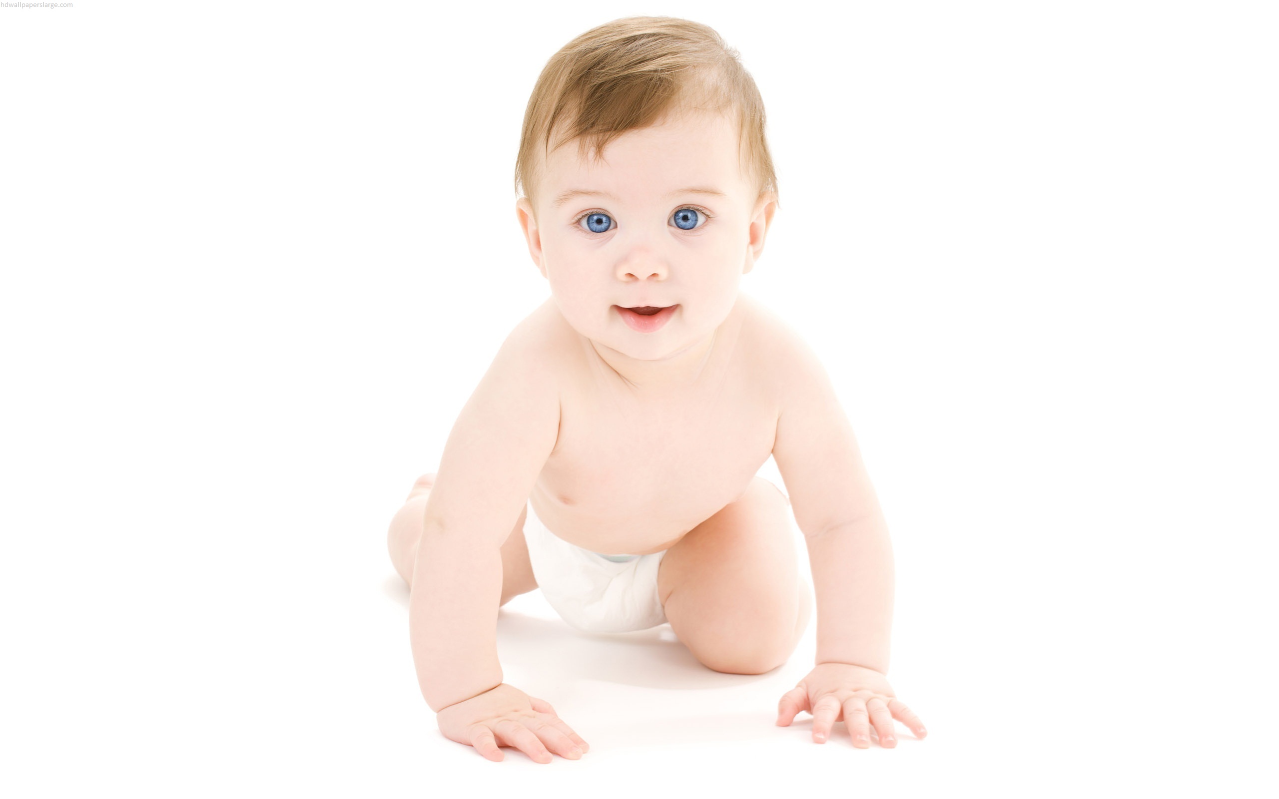 Handsome Baby Boy Hd Photographs - Baby, Transparent background PNG HD thumbnail