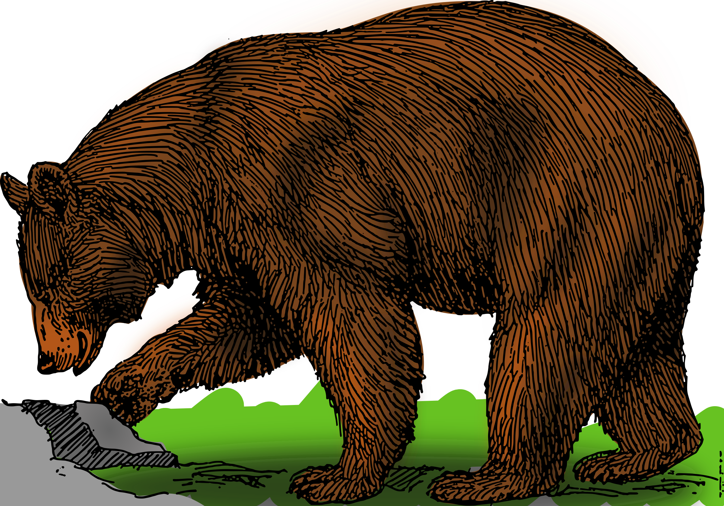 This Free Icons Png Design Of Colored Bear Hdpng.com  - Bear, Transparent background PNG HD thumbnail