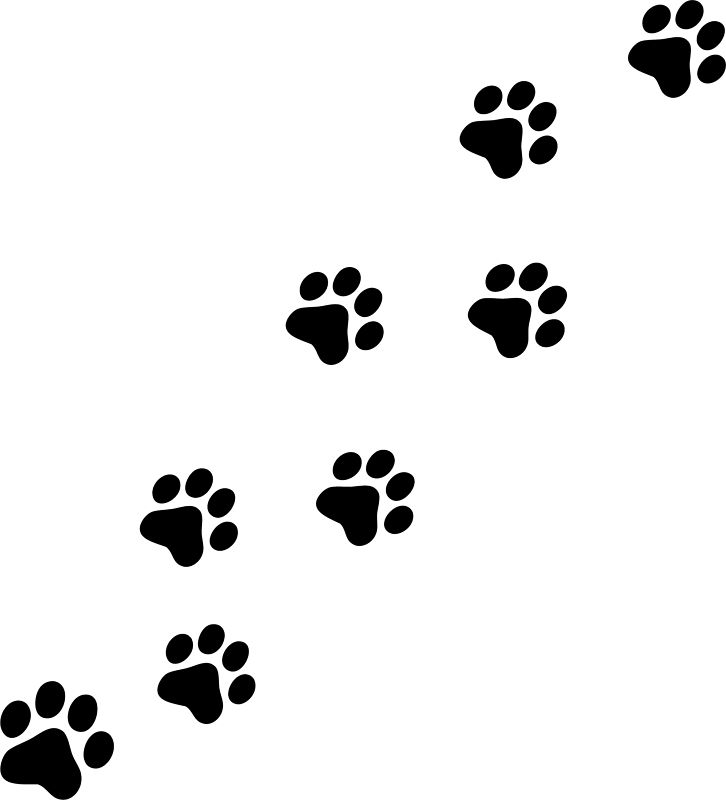 Cat-paw-printing-md.png