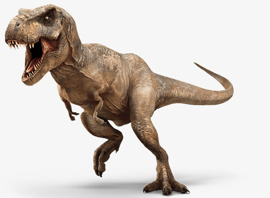 T Rex Dinosaur Facts Dinosaur