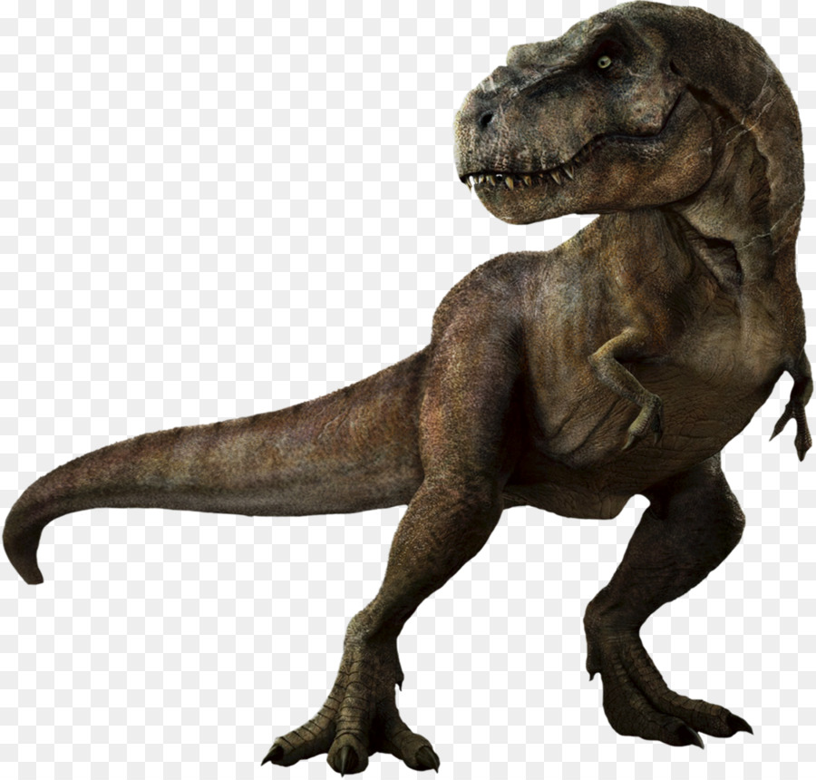 Dinosaur Png Image PNG Image