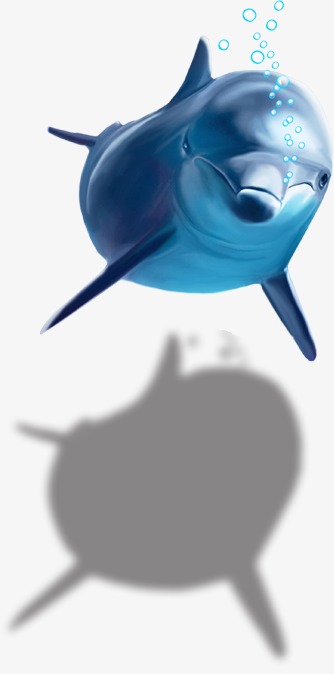 Dolphin, Dolphin Creative, Hd Big Picture Dolphin, Hd Dolphins Png And Psd - Dolphin, Transparent background PNG HD thumbnail