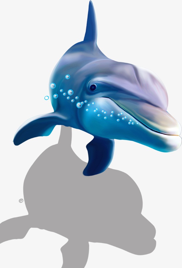 Dolphin, Dolphin Creative, Hd Big Picture Dolphin, Hd Dolphins Png And Psd - Dolphin, Transparent background PNG HD thumbnail