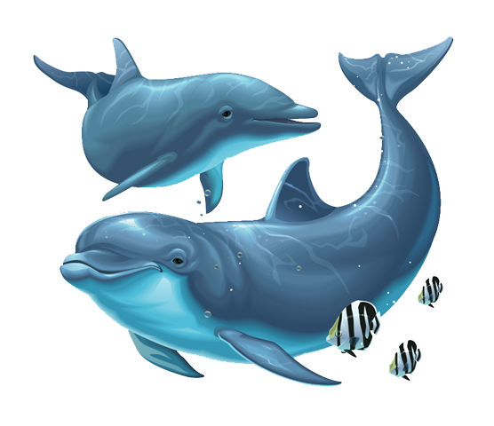 Dolphin Cartoons HD Wallpaper