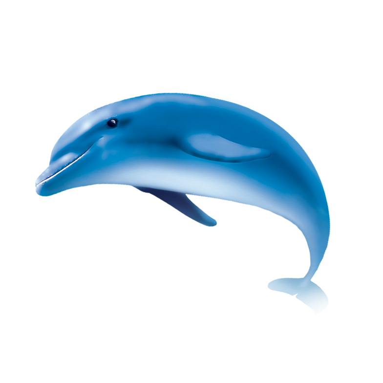 Dolphin Png Images - Dolphin, Transparent background PNG HD thumbnail