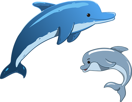 Dolphin, Sea, Animals, Mother And Child - Dolphin, Transparent background PNG HD thumbnail