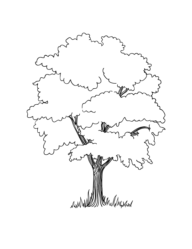 Coloring Pages - Family Members, Transparent background PNG HD thumbnail