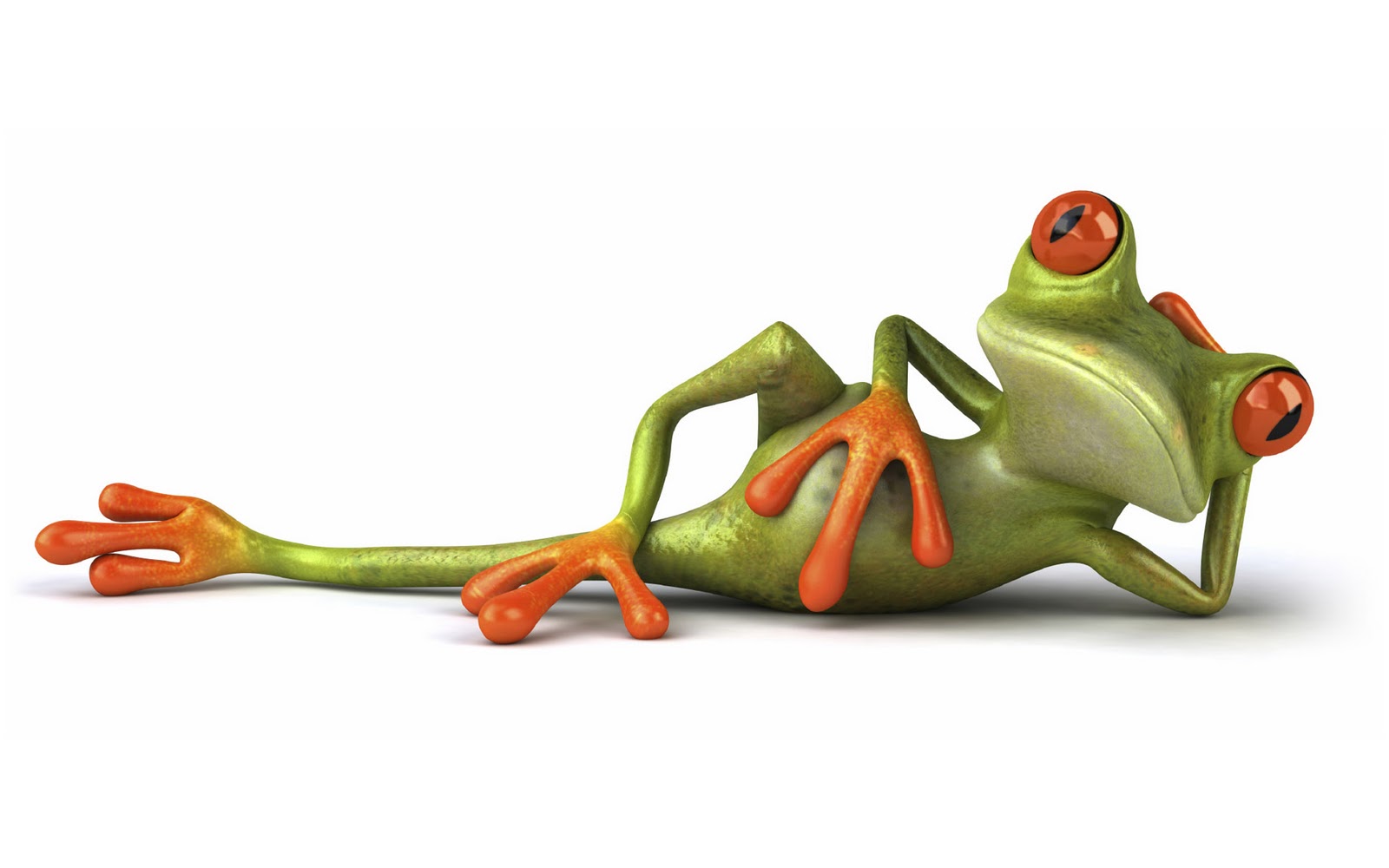 Cartoons Frog Wallpaper Hd - Frog, Transparent background PNG HD thumbnail