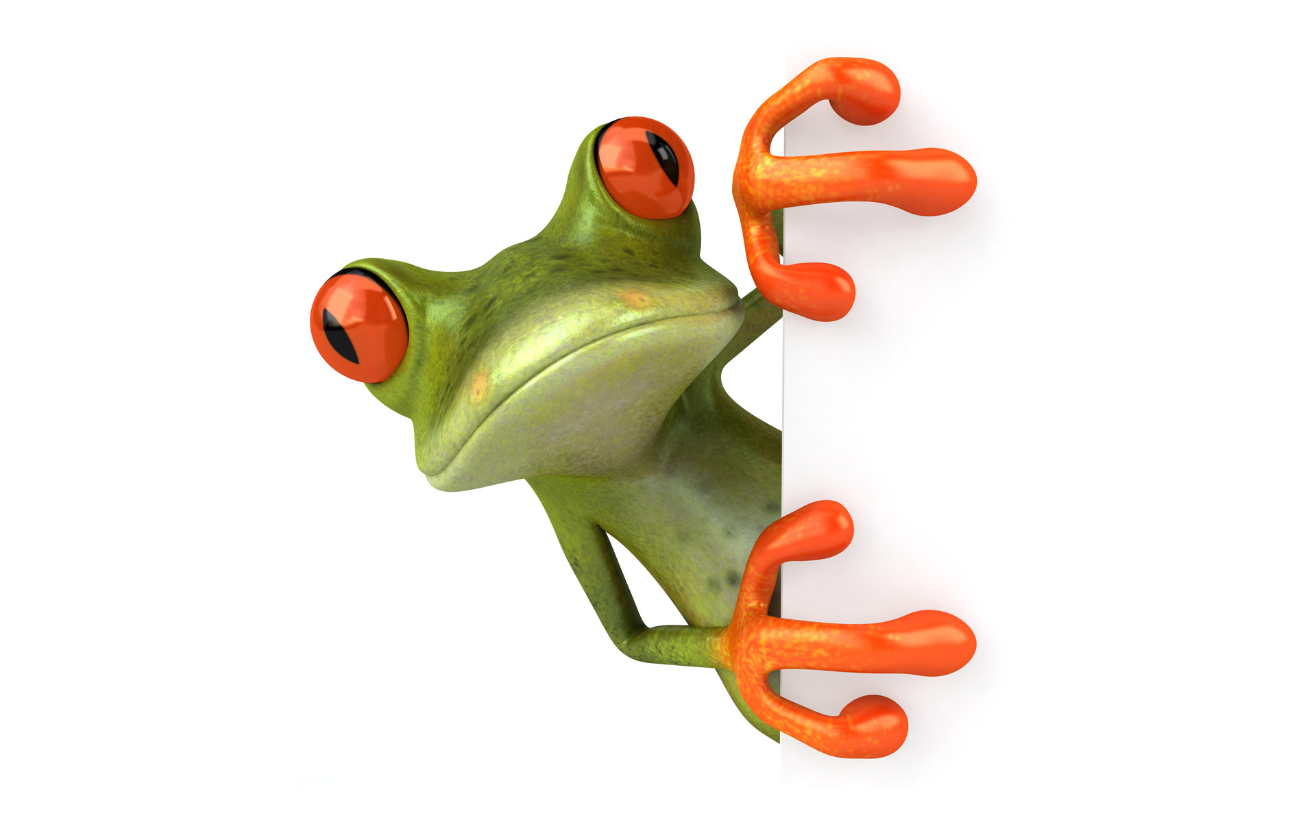 Frog - Frog, Transparent background PNG HD thumbnail