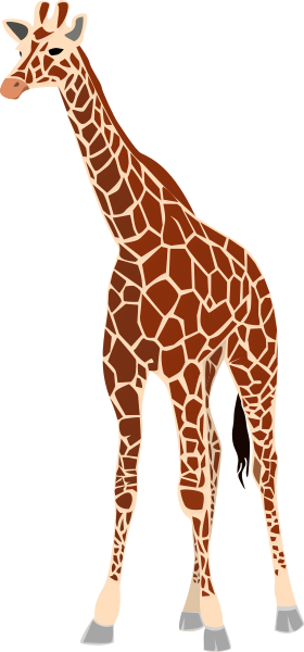Giraffe - Giraffe, Transparent background PNG HD thumbnail