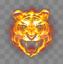 Hd Tiger Picture Fierce Flames, Ferocious Tiger, Flame Steller, Tiger Png And Psd - , Transparent background PNG HD thumbnail