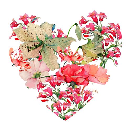 Eatsleepdraw: Valentines Heart Great Idea To Draw And Paint Flowers In A Defined Shape Like A Heart, Or A Shoe Or A Handbag - Hearts And Flowers, Transparent background PNG HD thumbnail