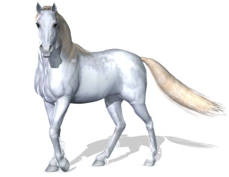 Ancientkale 545 90 Horse 3 Png By Variety Stock - Horse, Transparent background PNG HD thumbnail