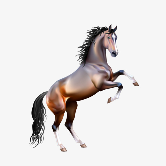 Creative 3D Horse, Png, Free Png, 3D Png Image And Clipart - Horse, Transparent background PNG HD thumbnail