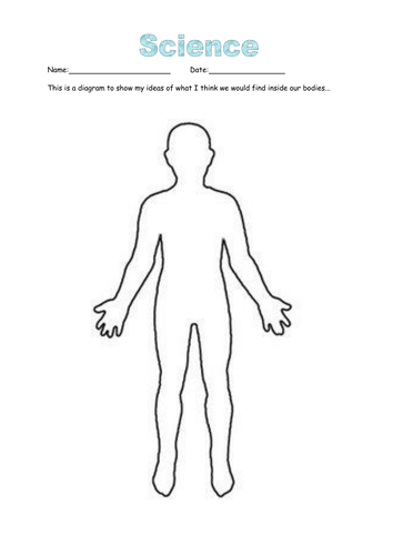 Human Body Outline   Yr 4 Moving And Growing By Pinguina81   Teaching Resources   Tes - Human Body Outline, Transparent background PNG HD thumbnail