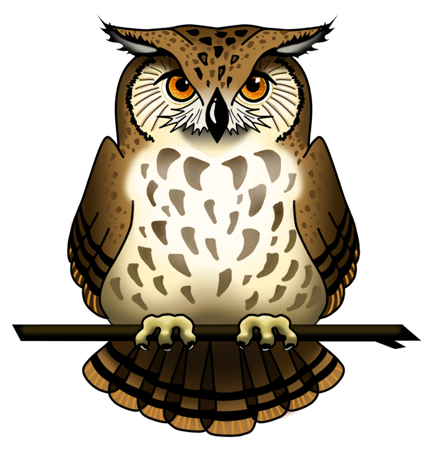 Owl Png Picture - Of An Owl, Transparent background PNG HD thumbnail