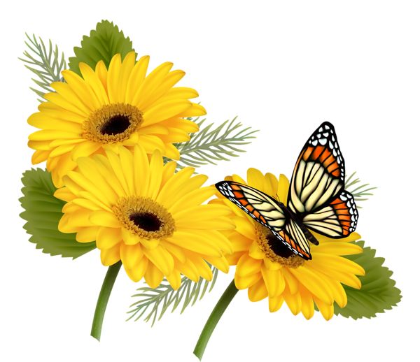 Png Hd Of Butterflies And Flowers - Clipart Flowers And Butterflies Png, Transparent background PNG HD thumbnail