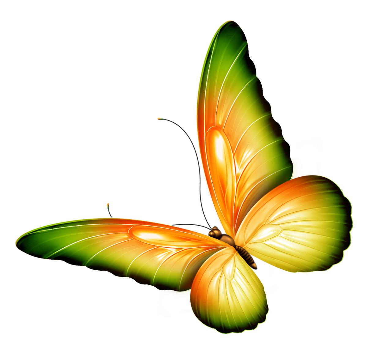 Flowers For Yellow Flower Border Clip Art - Of Butterflies And Flowers, Transparent background PNG HD thumbnail