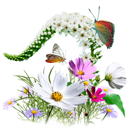 Png Hd Of Butterflies And Flowers - Flowers Wildflowers Icon, Transparent background PNG HD thumbnail