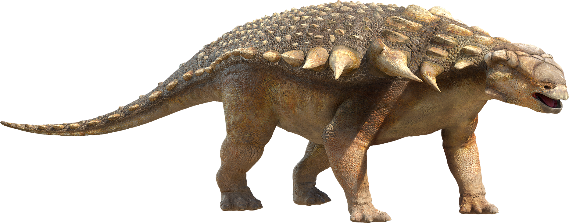 Ankylosaur.png - Of Dinosaurs, Transparent background PNG HD thumbnail