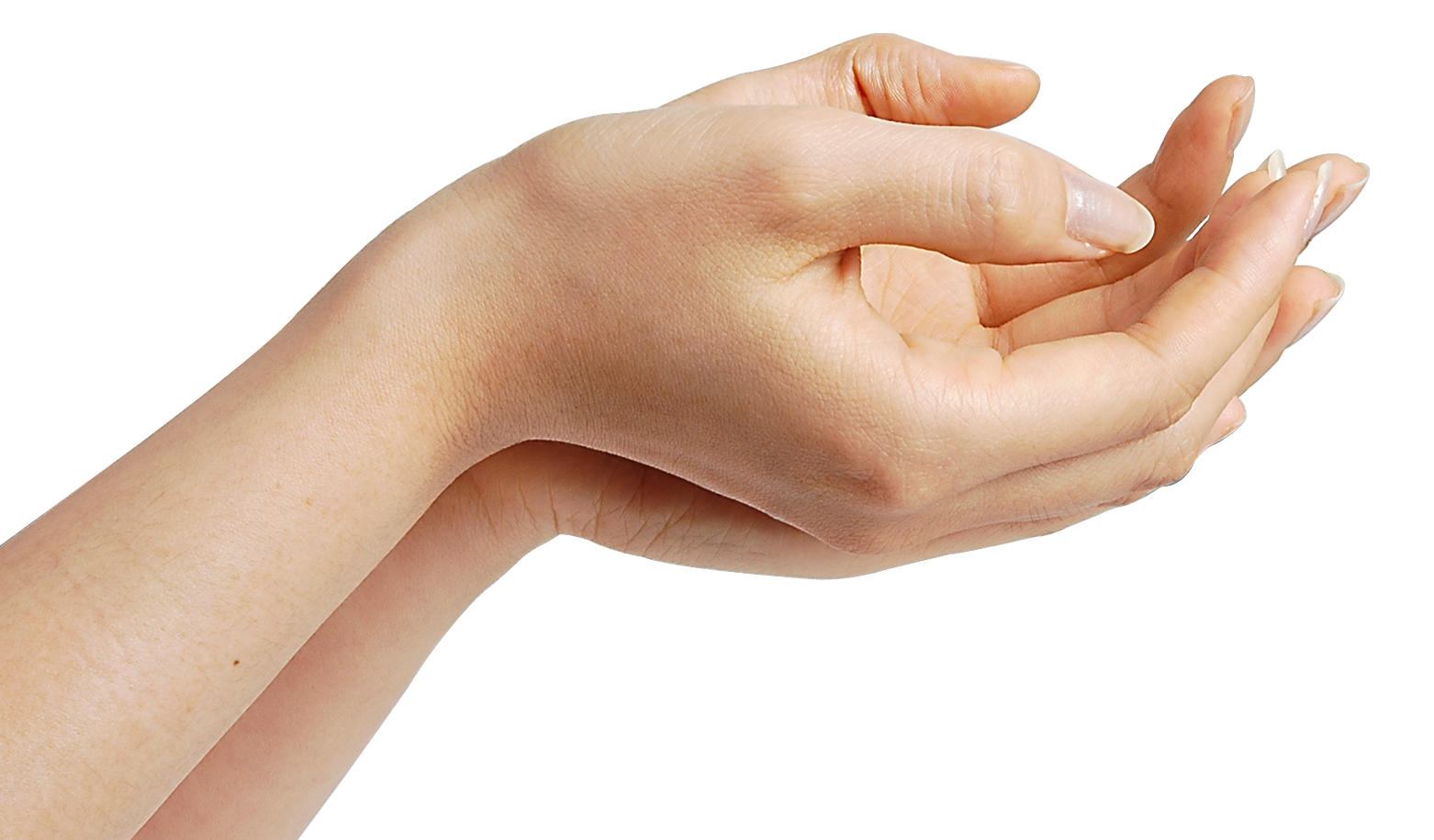 Download Png Image   Hands Png 7 578 - Of Hands, Transparent background PNG HD thumbnail