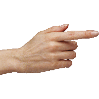 Hands Png Hand Image Png Image - Of Hands, Transparent background PNG HD thumbnail