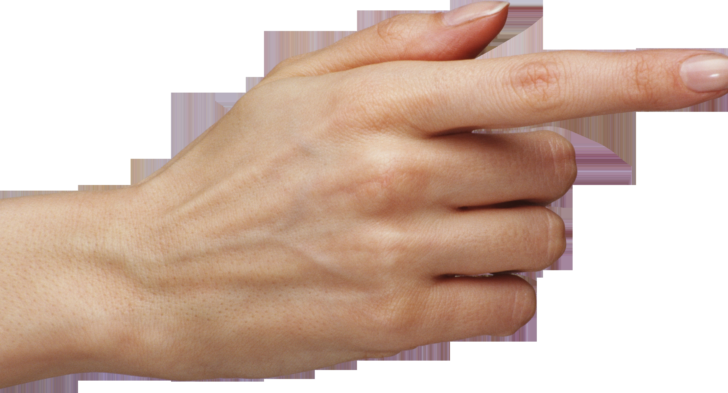Pictures Of Hands Hands Png Free Images Pictures Download Hand - Of Hands, Transparent background PNG HD thumbnail