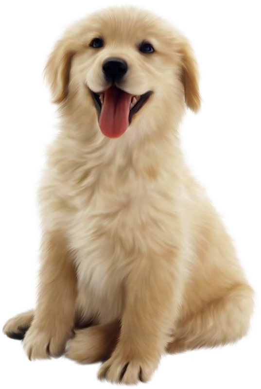 Cottonwood Puppy - Of Puppies, Transparent background PNG HD thumbnail