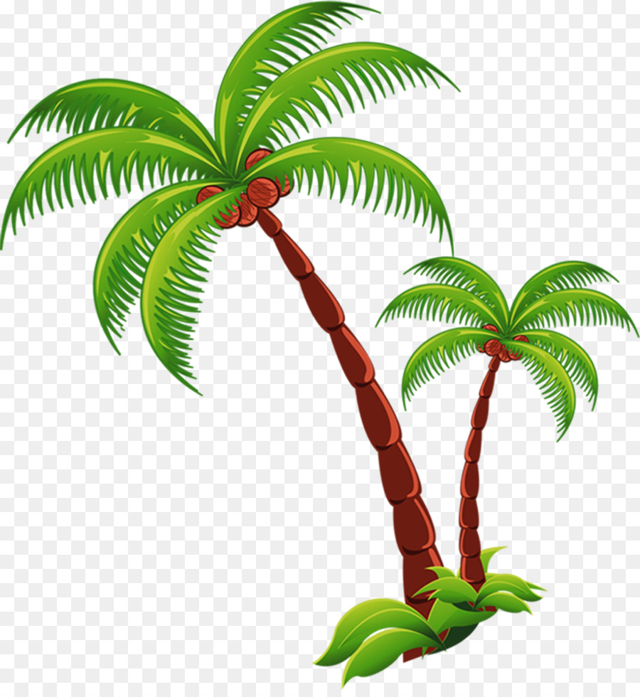 Coconut Beach Computer File   Coconut Tree - Palm Tree Beach, Transparent background PNG HD thumbnail