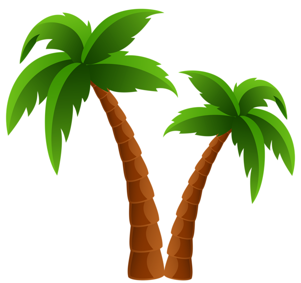 Gallery   Recent Updates. Tree Clipartbeach Clipartclipart Imagespalm Hdpng.com  - Palm Tree Beach, Transparent background PNG HD thumbnail