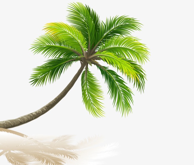 Palm Beach, Coco, Inverted Image, Sandy Beach Png And Psd - Palm Tree Beach, Transparent background PNG HD thumbnail