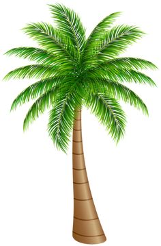 Palm Tree Large Png Clip Art Image More - Palm Tree Beach, Transparent background PNG HD thumbnail