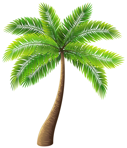 Palm Tree Png Clip Art - Palm Tree Beach, Transparent background PNG HD thumbnail