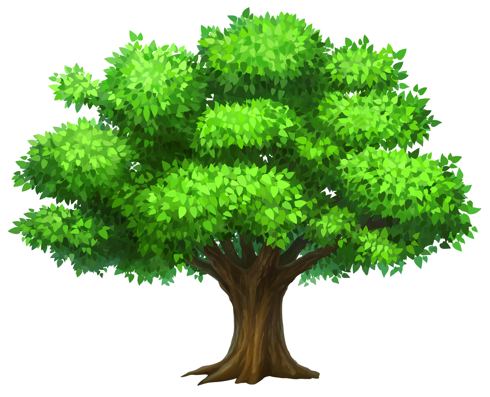 Hd Clipart Png. - Pictures Of Trees, Transparent background PNG HD thumbnail