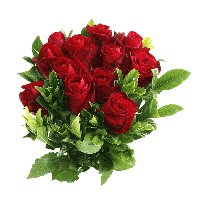 LOVE GIFT THREE ROSE Png Coll