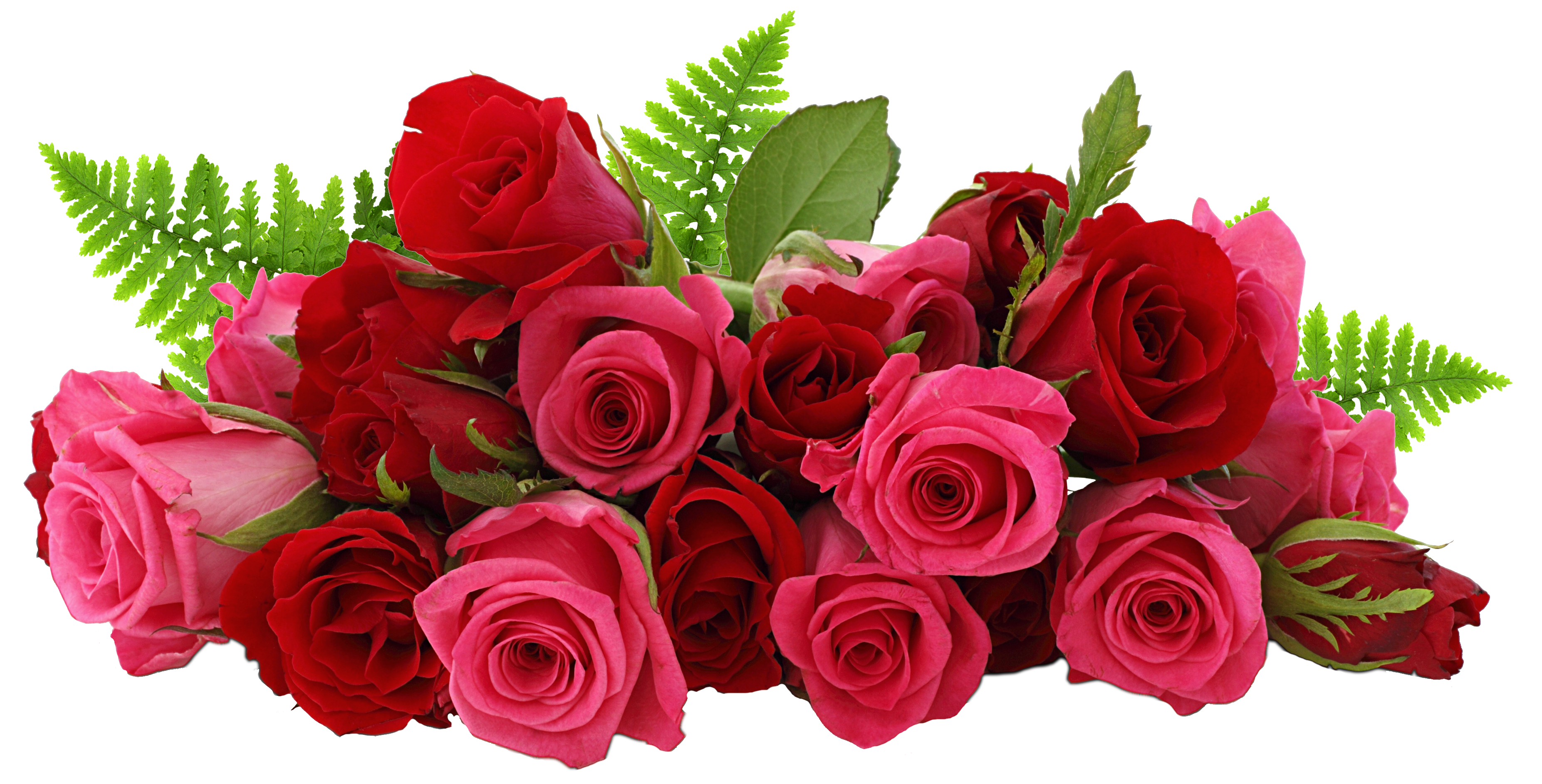 LOVE GIFT THREE ROSE Png Coll