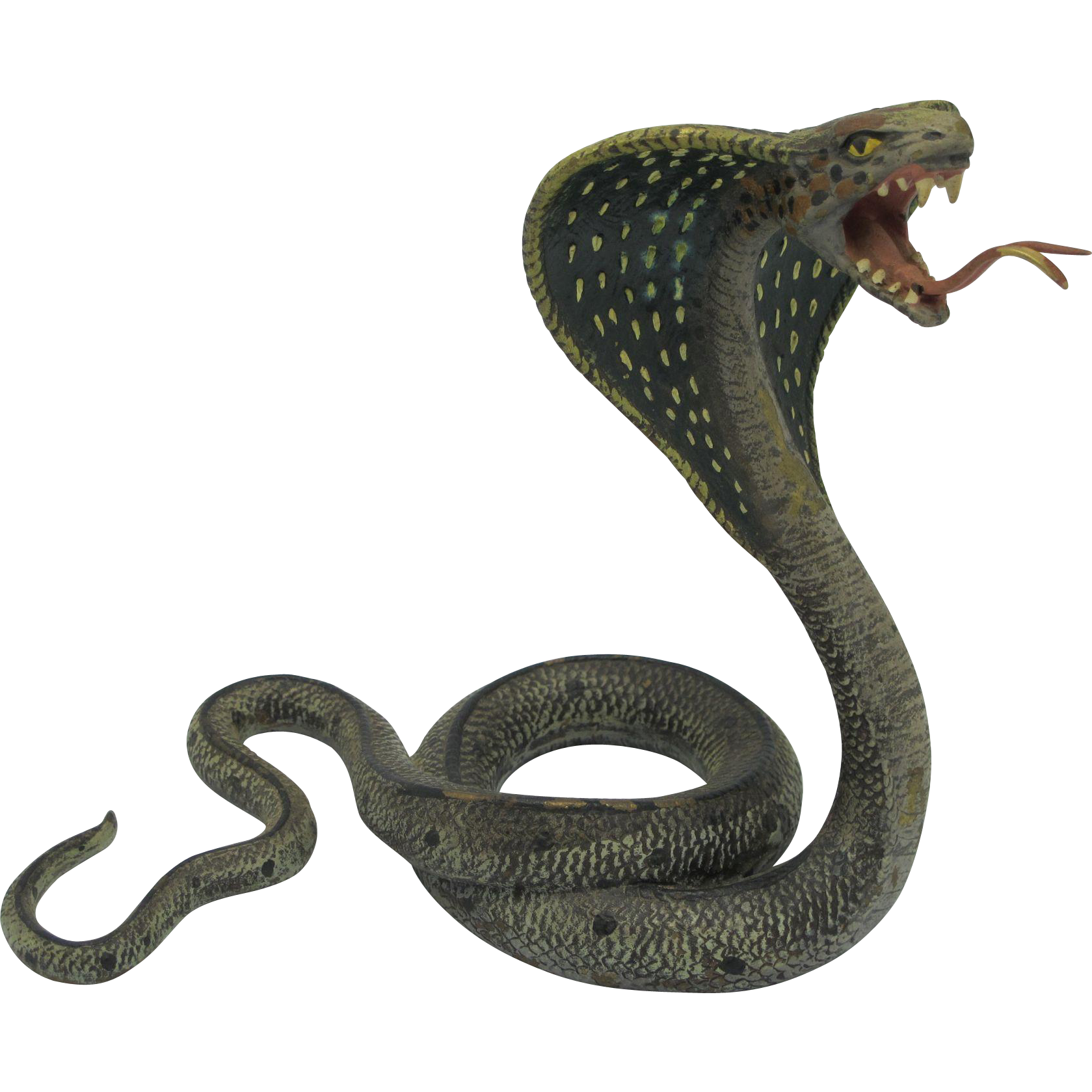 Cobra Snake Png Photos - Snake, Transparent background PNG HD thumbnail