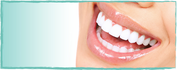 Teeth PNG Transparent Image -