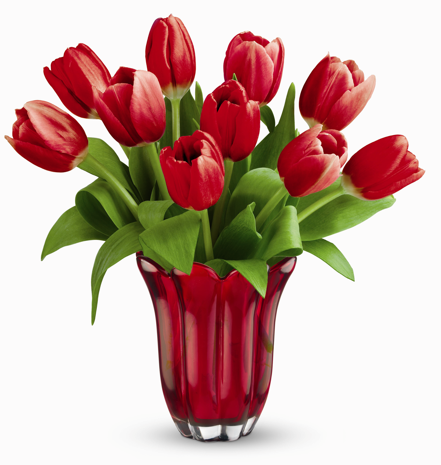 Red Tulip Flower Bouquet Cool Wallpaper Hd - Vase Of Flowers, Transparent background PNG HD thumbnail