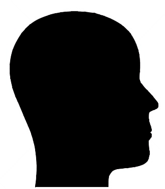 File:head Silhouette.png - Head, Transparent background PNG HD thumbnail