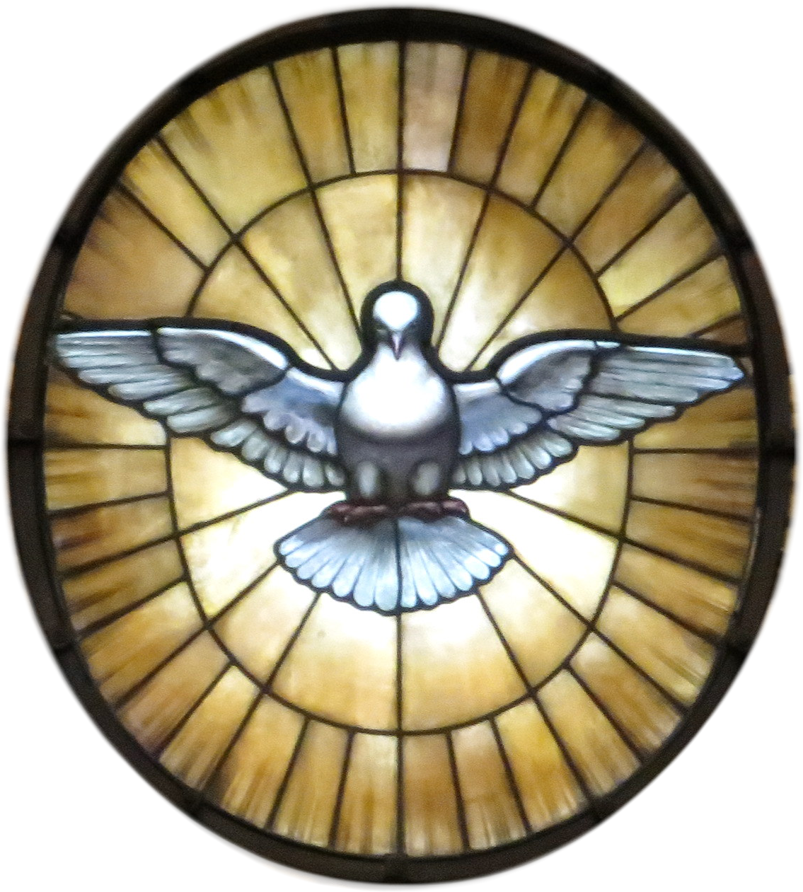 File:dove Of The Holy Spirit.png - Holy Spirit, Transparent background PNG HD thumbnail