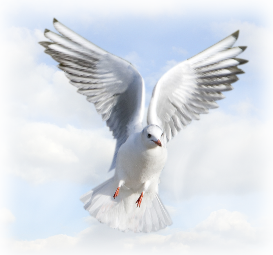 Holy Spirit - Holy Spirit, Transparent background PNG HD thumbnail