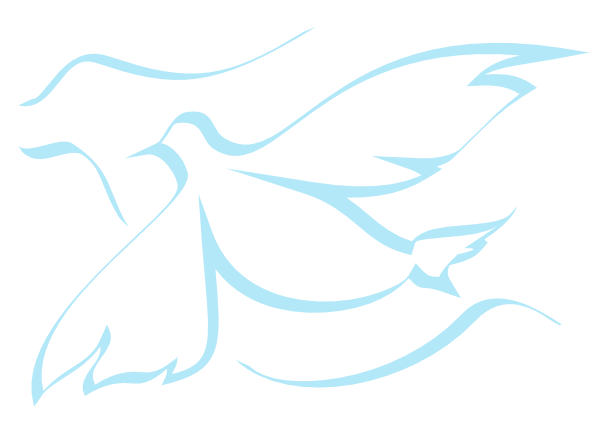 holy-spirit-dove-84646.png