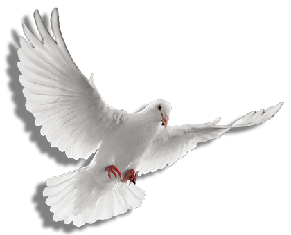 Png Holy Spirit - Holy Spirit Dove Png   Photo#2, Transparent background PNG HD thumbnail
